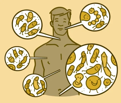 Illustration showing where microbes live on the body of a man